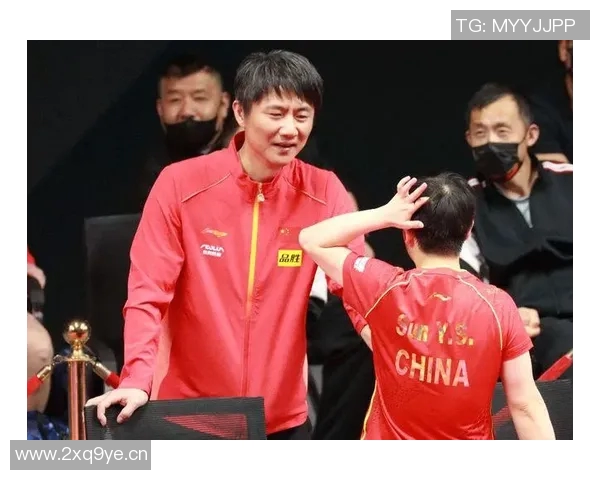 成都排球队节奏引发热议球迷与教练的观点碰撞解析